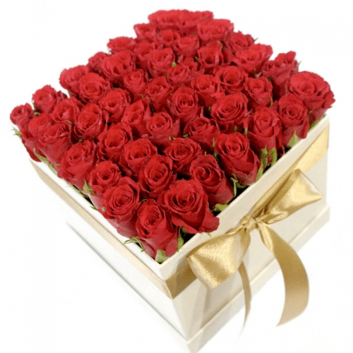 51 роза в коробке "Белое золото"